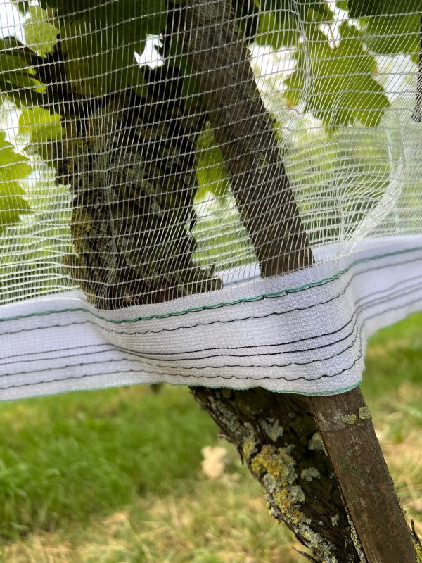 Wespen Hagelschutznetz mit Klettverschluss kaufen Sie bei Winzernetze