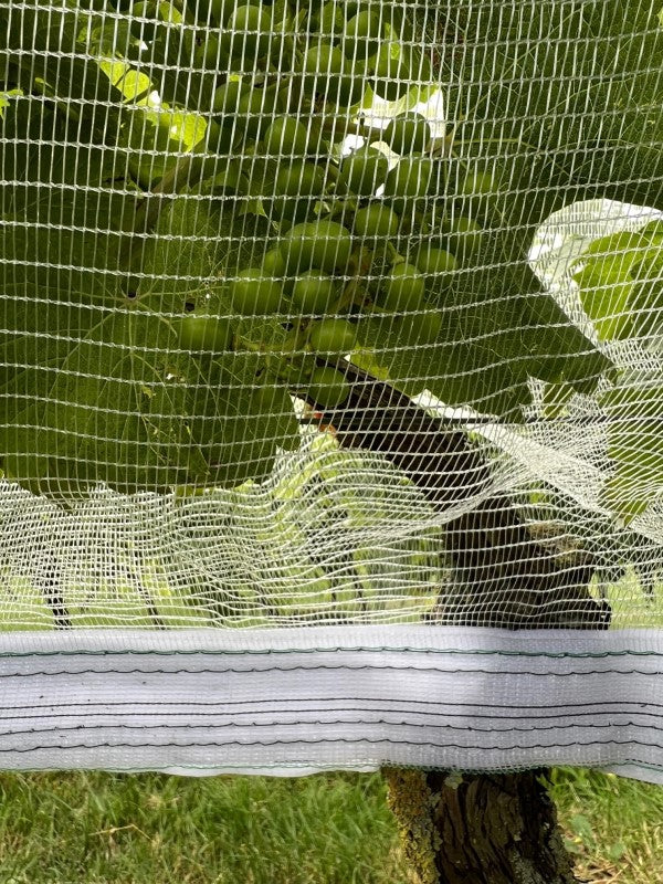 Wespen Hagelschutznetz mit Klettverschluss kaufen Sie bei Winzernetze