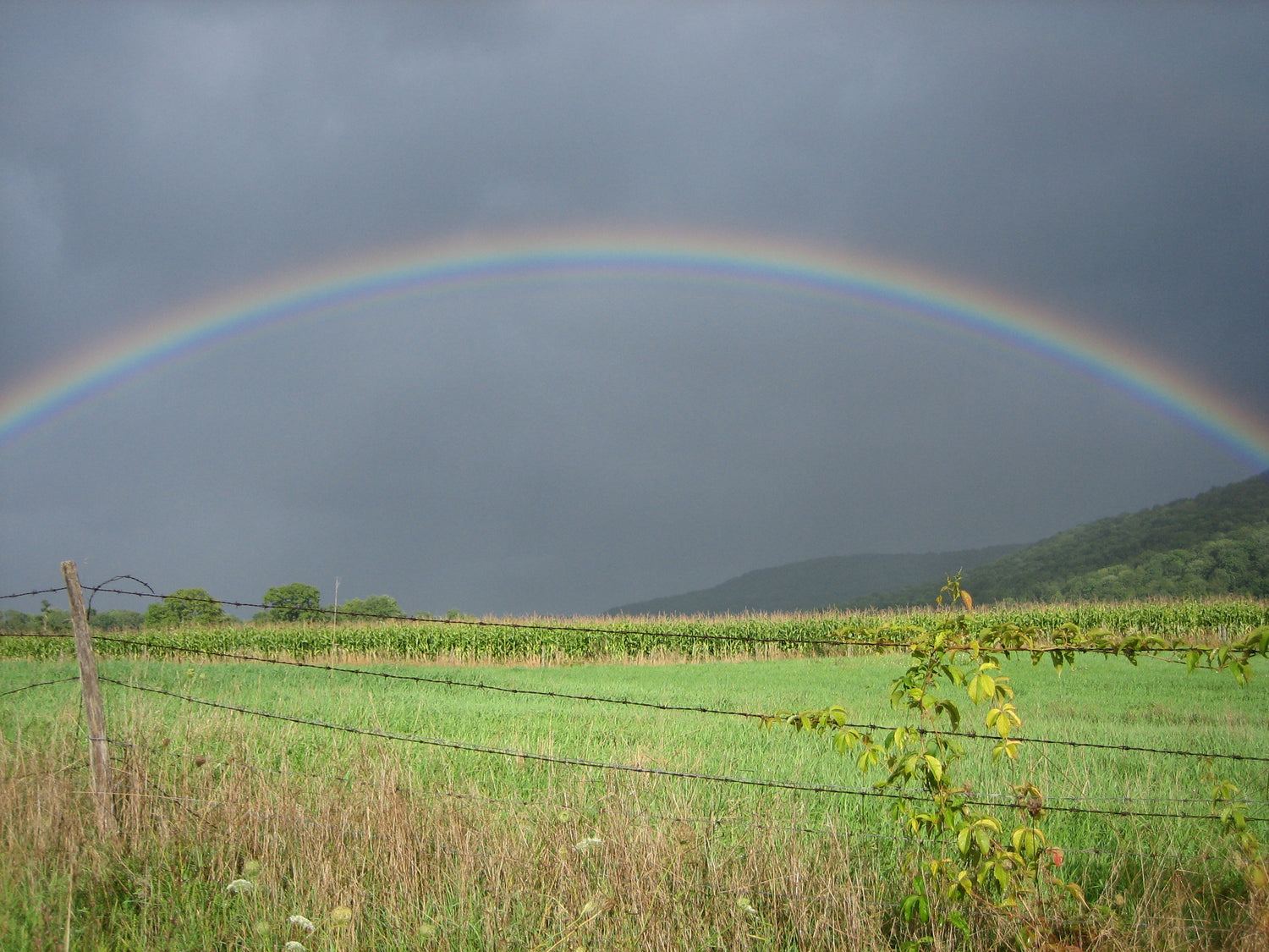 Regenbogen über einem Feld mit dunklem Himmel
