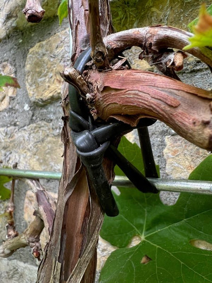 Bindeschlauch kaufen Sie bei Winzernetze