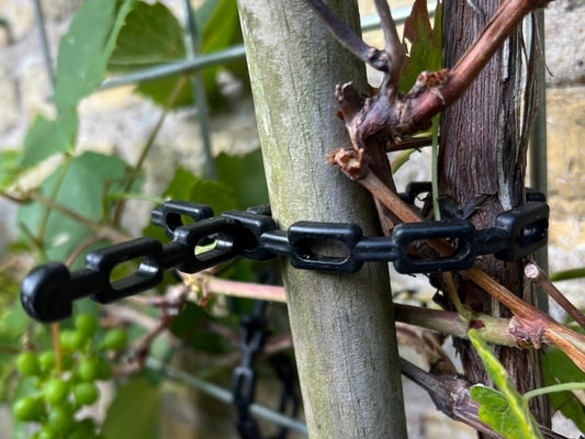 Rebekettenband kaufen Sie bei Winzernetze
