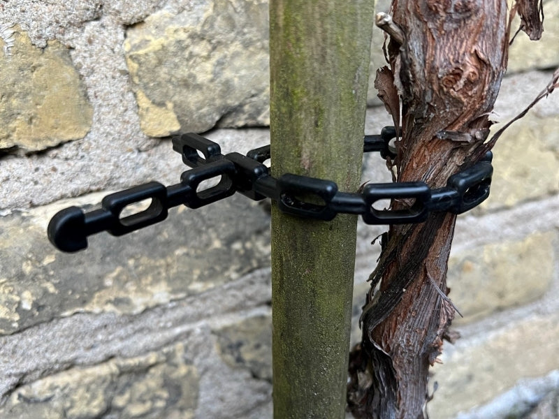 Rebekettenband kaufen Sie bei Winzernetze