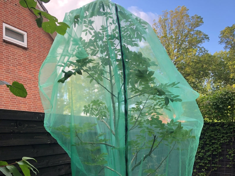 Obstbaumschutzbeutel kaufen Sie bei Winzernetze.de