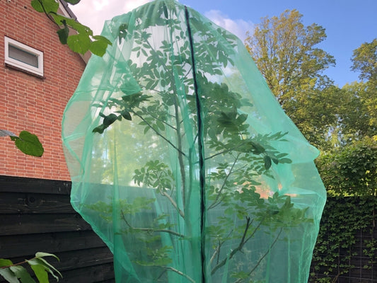 Obstbaumschutzbeutel kaufen Sie bei Winzernetze.de