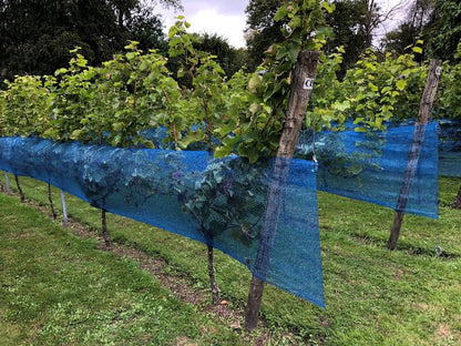 Weinbaunetz blau