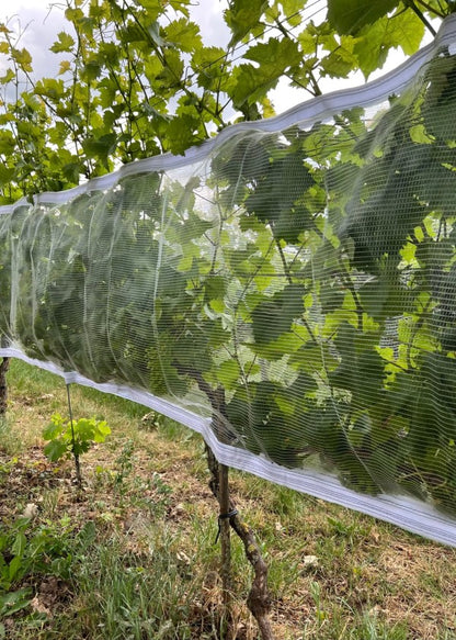 Wespen/Hagelschutznetz mit Klettverschluss, transparent