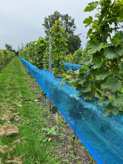 Weinbaunetz blau