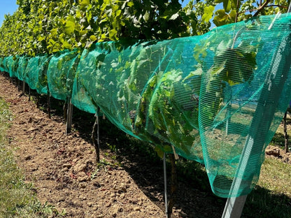 Weinbau Schutznetz, grün