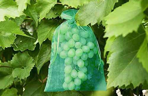 Traubenschutzbeutel kaufen Sie auch bei Winzernetze